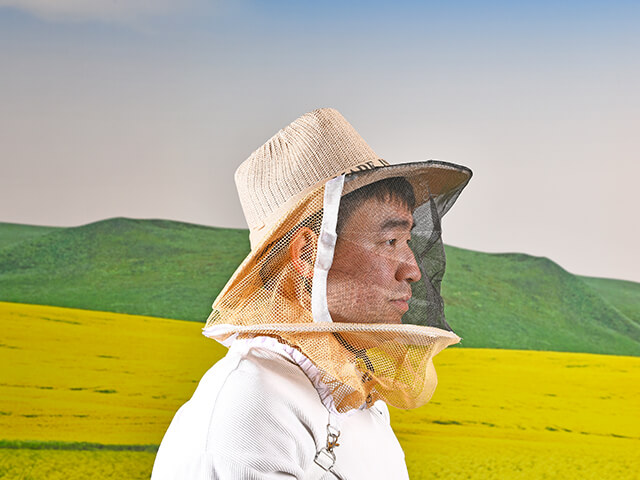 蜂帽